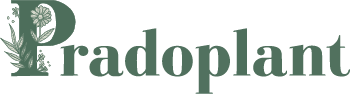 logo pradoplant